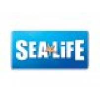 Sea Life