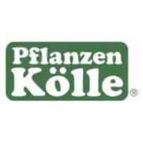 Pflanzen Kölle