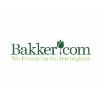 Bakker